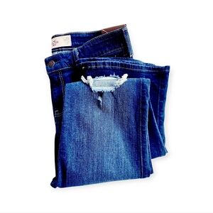 NWT! Hollister Distressed Bootcut Jeans